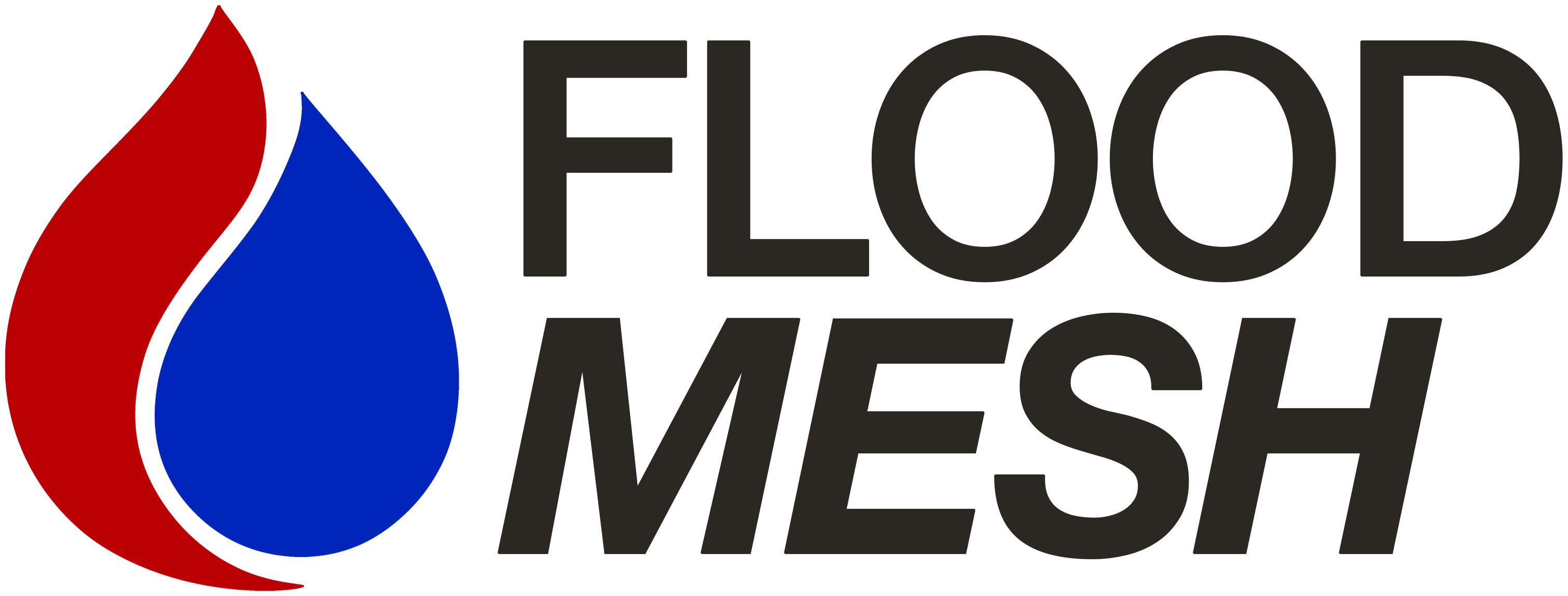 FLOOD-Mesh